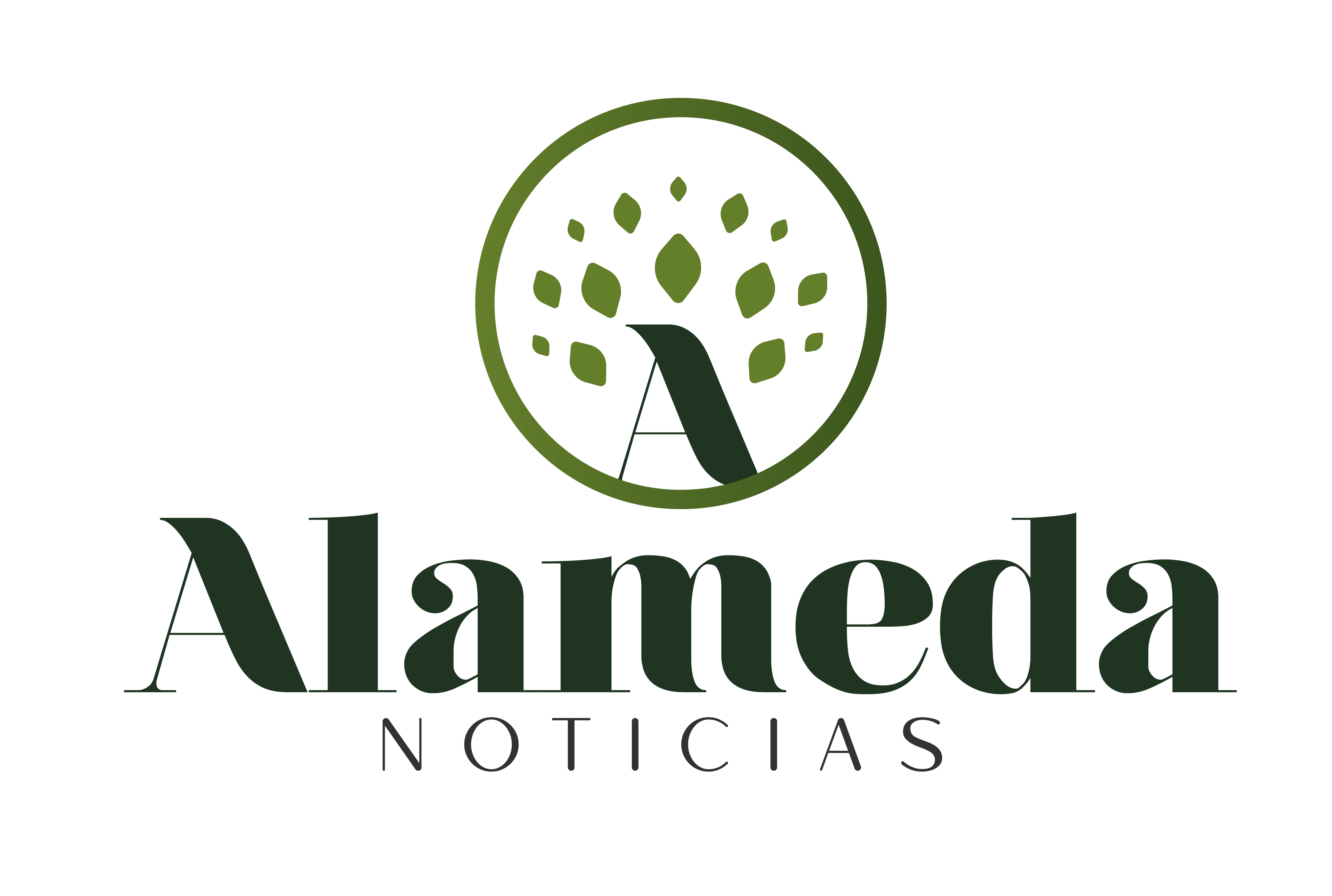 diarioalameda.com