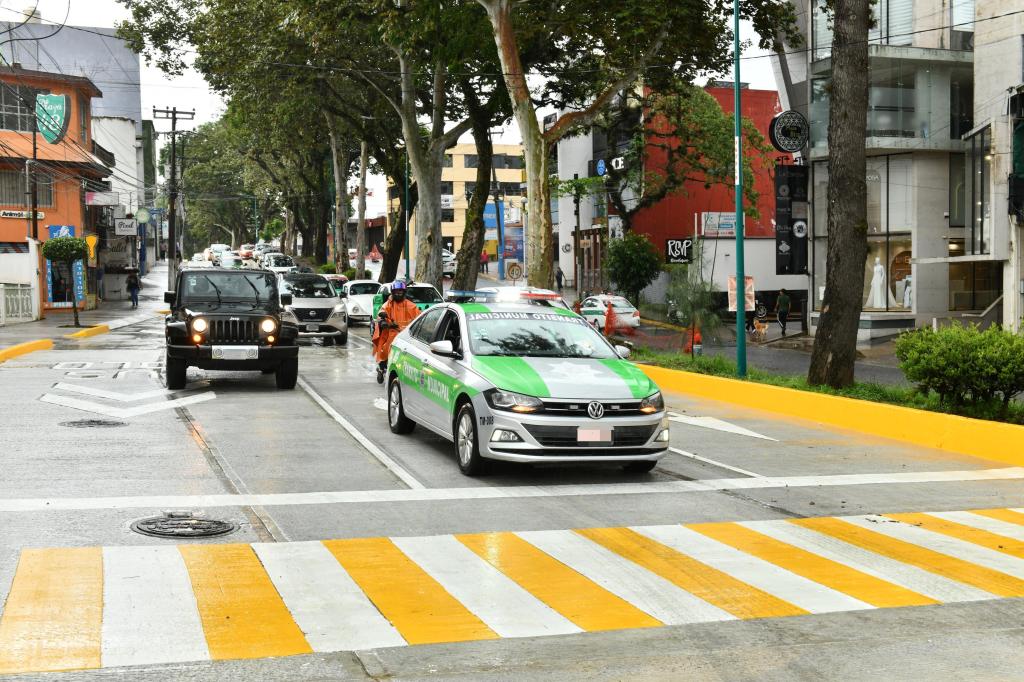 Abren Araucarias de Tepic a&nbsp;Tapachula