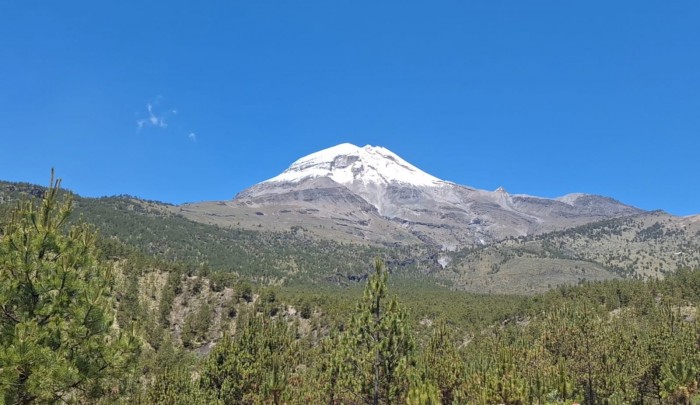 Restaurarán ecosistemas en el Pico de&nbsp;Orizaba