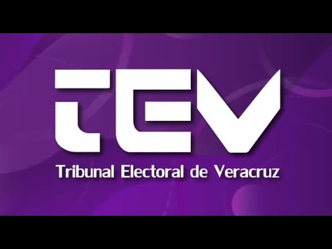 TEV exhibe violencia en PAN&nbsp;Veracruz
