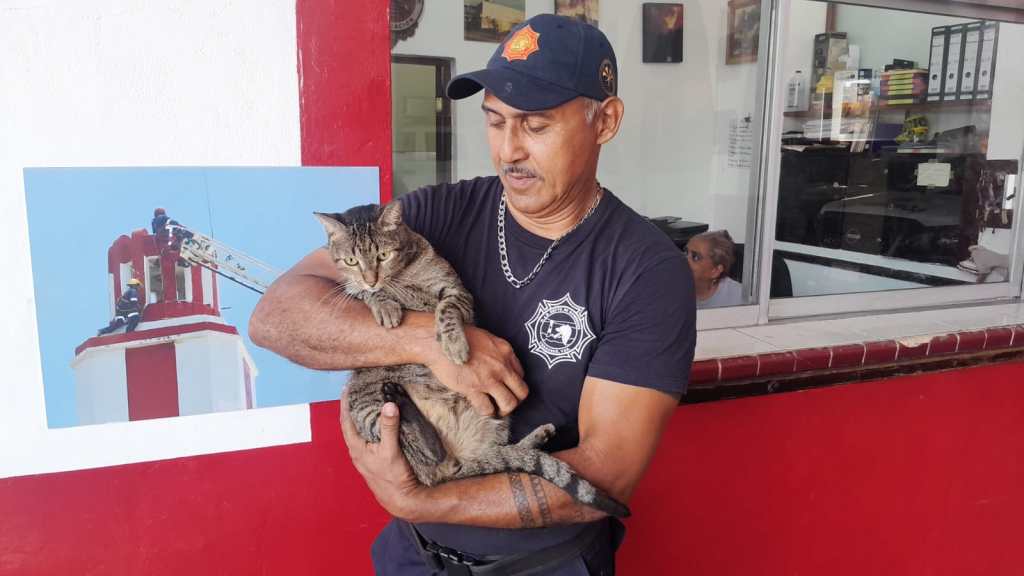 Friky, el michi&nbsp;bombero