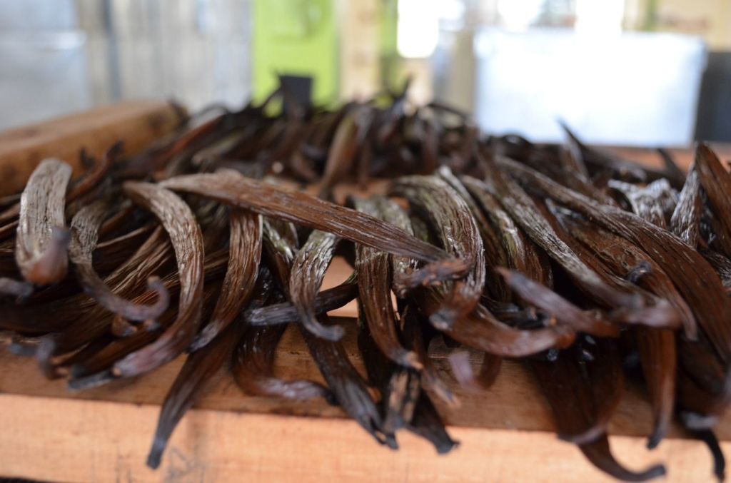 Saborea Veracruz desde el Totonacapan, productor de vainilla más importante de&nbsp;México