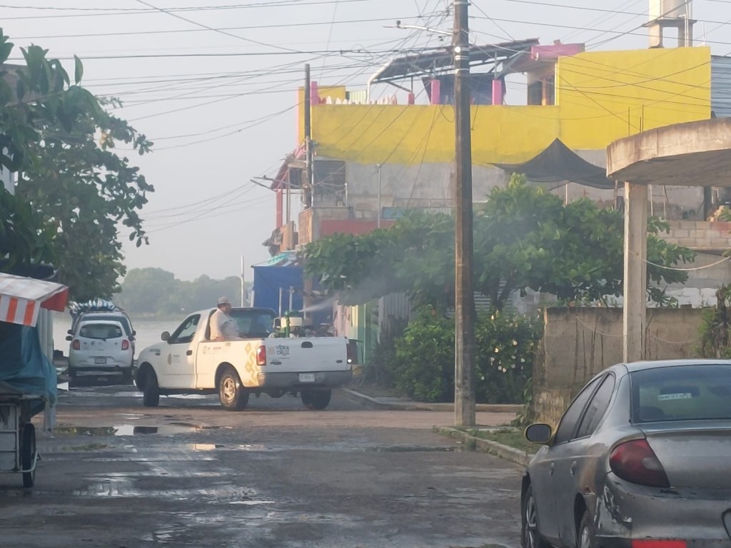 Jornada de fumigación