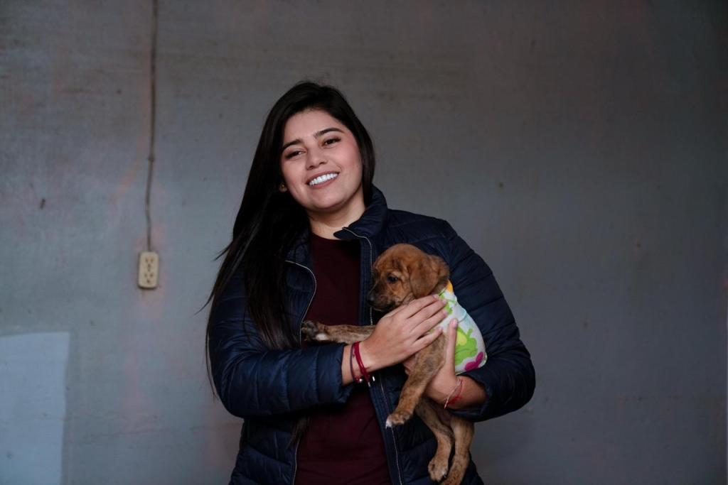 Gobierno de Poza Rica realiza jornada de limpieza en el Centro de Salud Animal tras afectaciones por&nbsp;inundación
