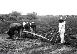 El Día del&nbsp;Ejido