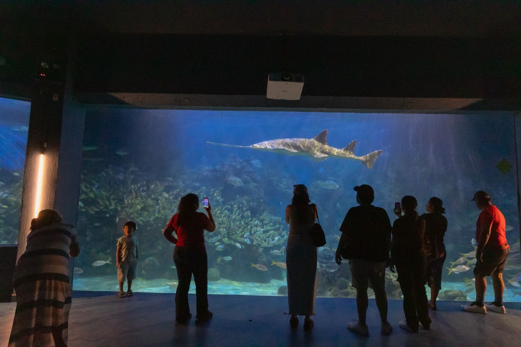 POR CARNAVAL, EL AQUARIUM DE VERACRUZ TENDRÁ HORARIO ESPECIAL DEL 14 AL 17 DE FEBRERO
