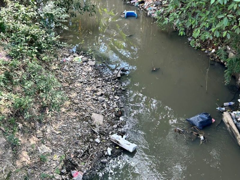 Arroyos colapsan sin respuesta de&nbsp;Ecología