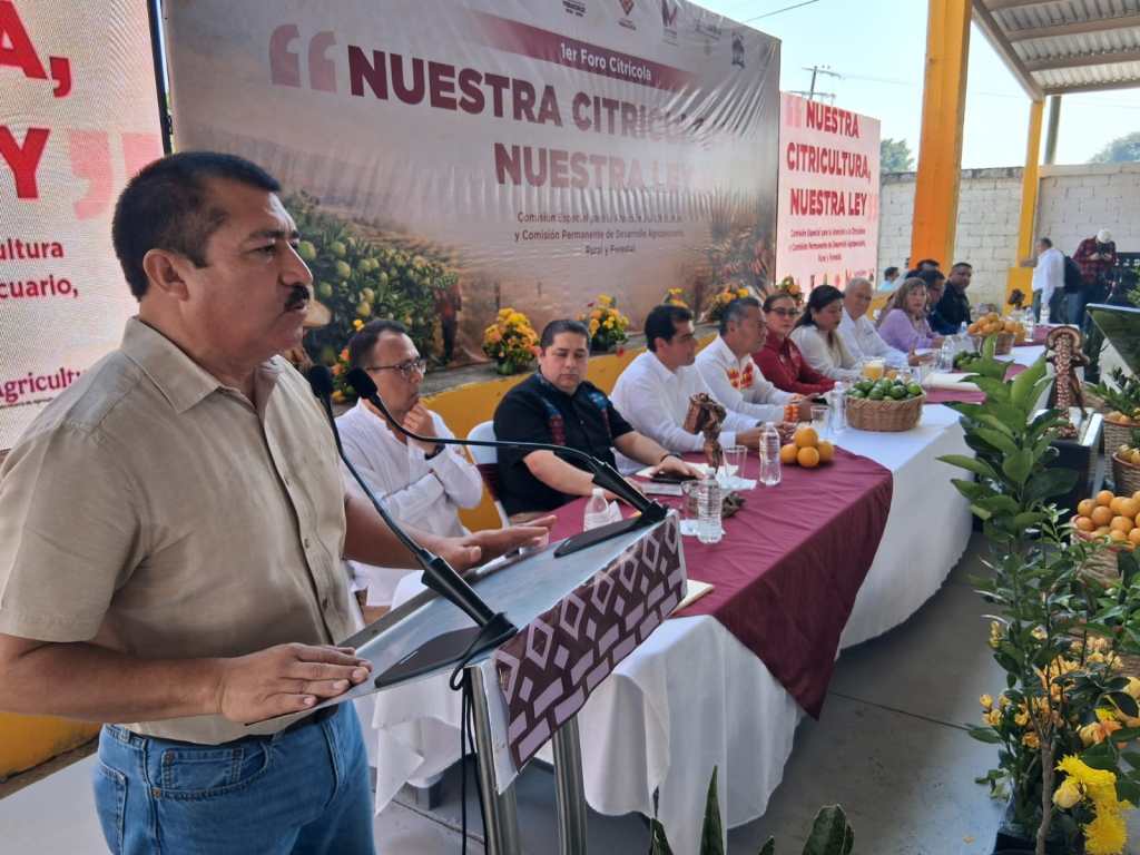 Impulsan marco jurídico para fortalecer la citricultura en Álamo&nbsp;Temapache