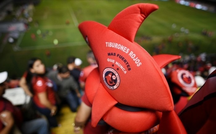 Posible regreso de los Tiburones Rojos