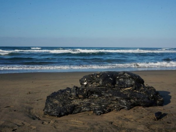 Rocío Nahle dará apoyo económico a&nbsp;pescadores