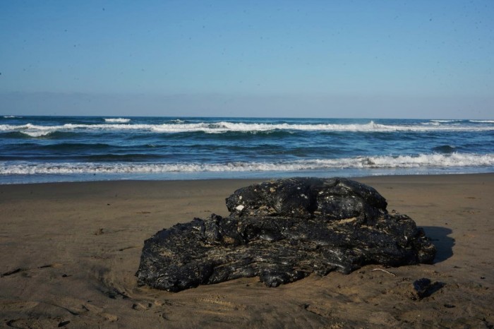 Rocío Nahle dará apoyo económico a&nbsp;pescadores