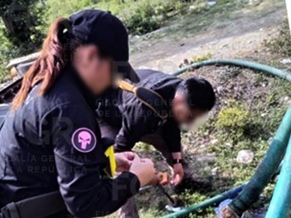 Catean predio por probable extracción ilegal de agua en&nbsp;Álamo