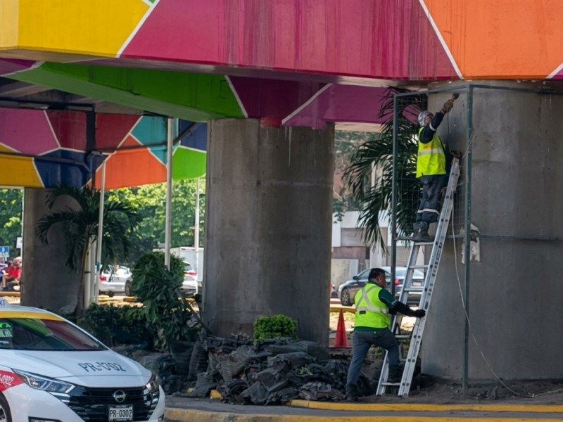 Adiós a vegetación artificial de&nbsp;Vallejo
