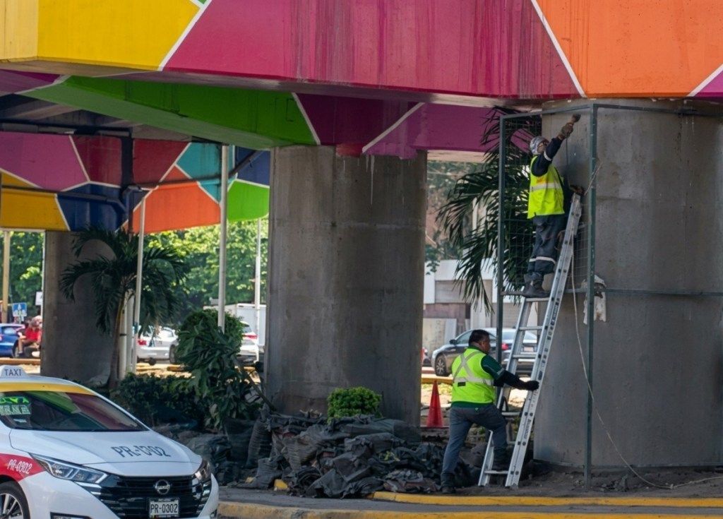 Adiós a vegetación artificial de Vallejo