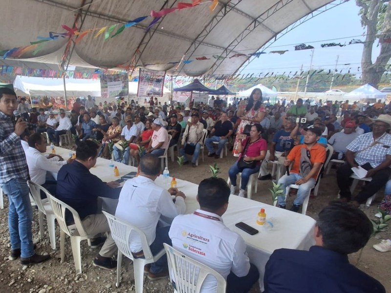 LA FERIA, ESCAPARATE PARA LA&nbsp;CITRICULTURA