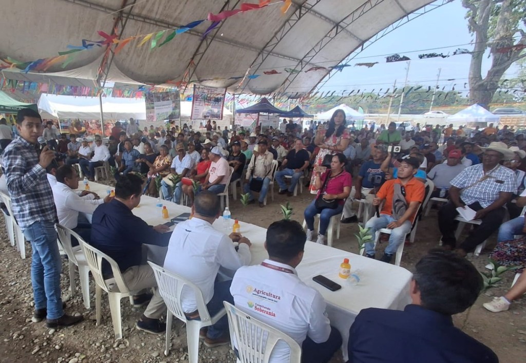 LA FERIA, ESCAPARATE PARA LA&nbsp;CITRICULTURA