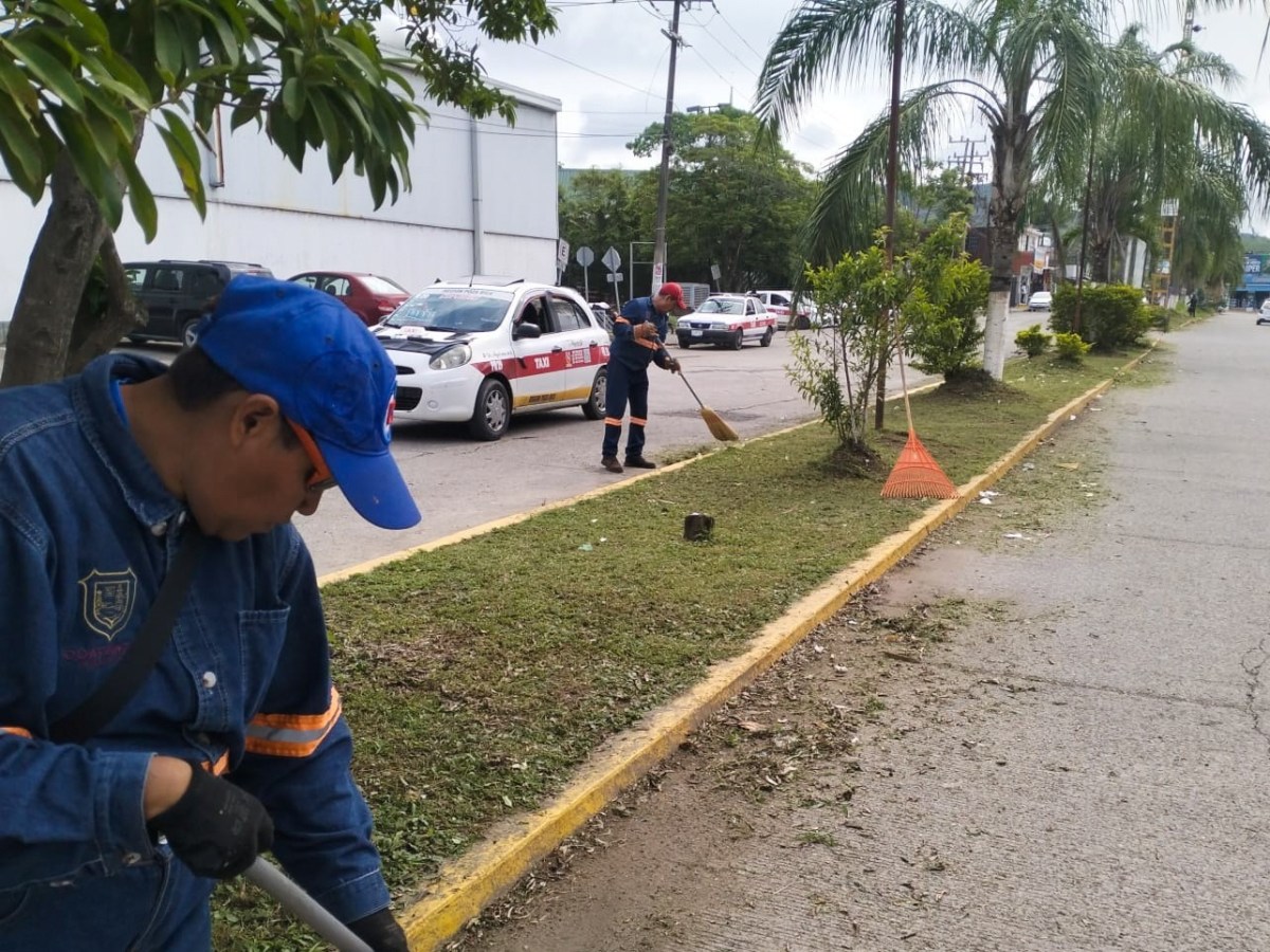 Mejoran camellones en la&nbsp;cabecera