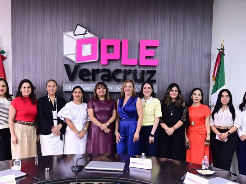 Políticas indígenas representan a Veracruz en curso internacional impulsado por INE y&nbsp;OEA