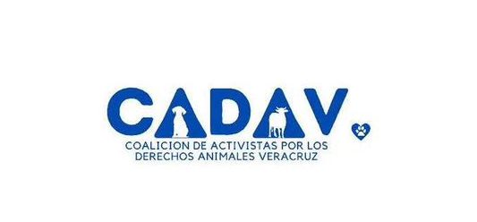Activistas exigen cancelar evento de “puerco encebado” en&nbsp;Tecolutla