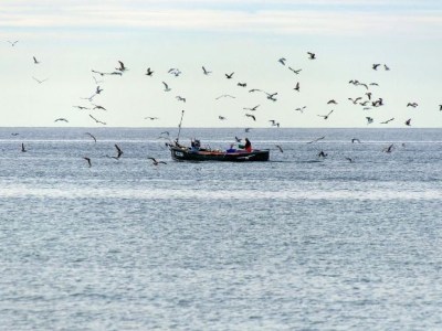 Pescadores reportan hidrocarburo en Vega de&nbsp;Alatorre