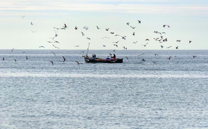 Pescadores reportan hidrocarburo en Vega de&nbsp;Alatorre