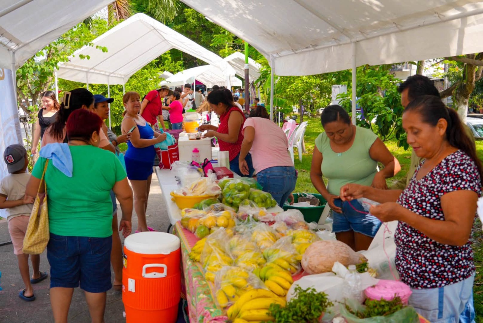Tianguis Campesino llegará al Fraccionamiento Kawatzin